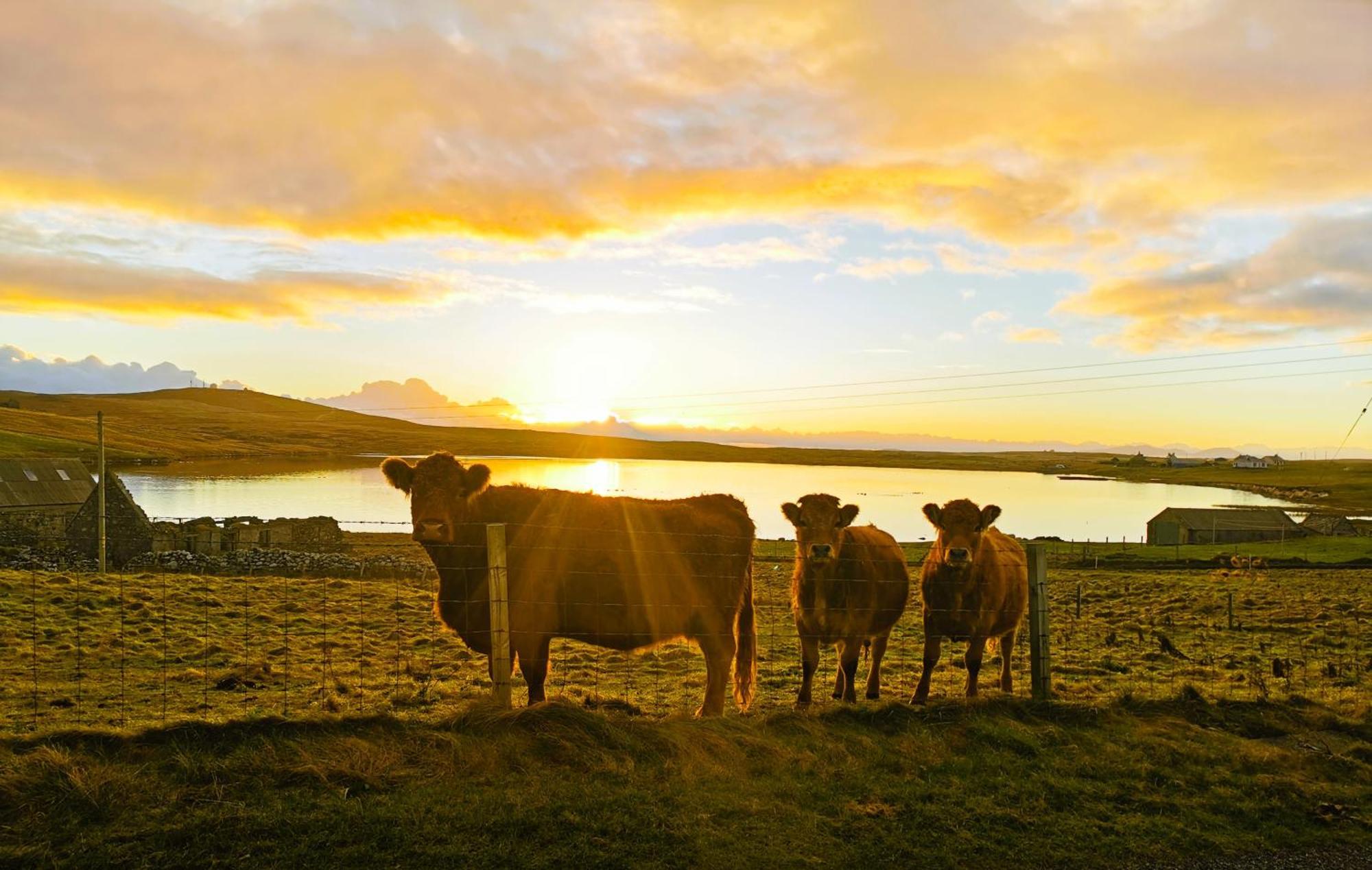 North Uist Lodges Tigharry Buitenkant foto