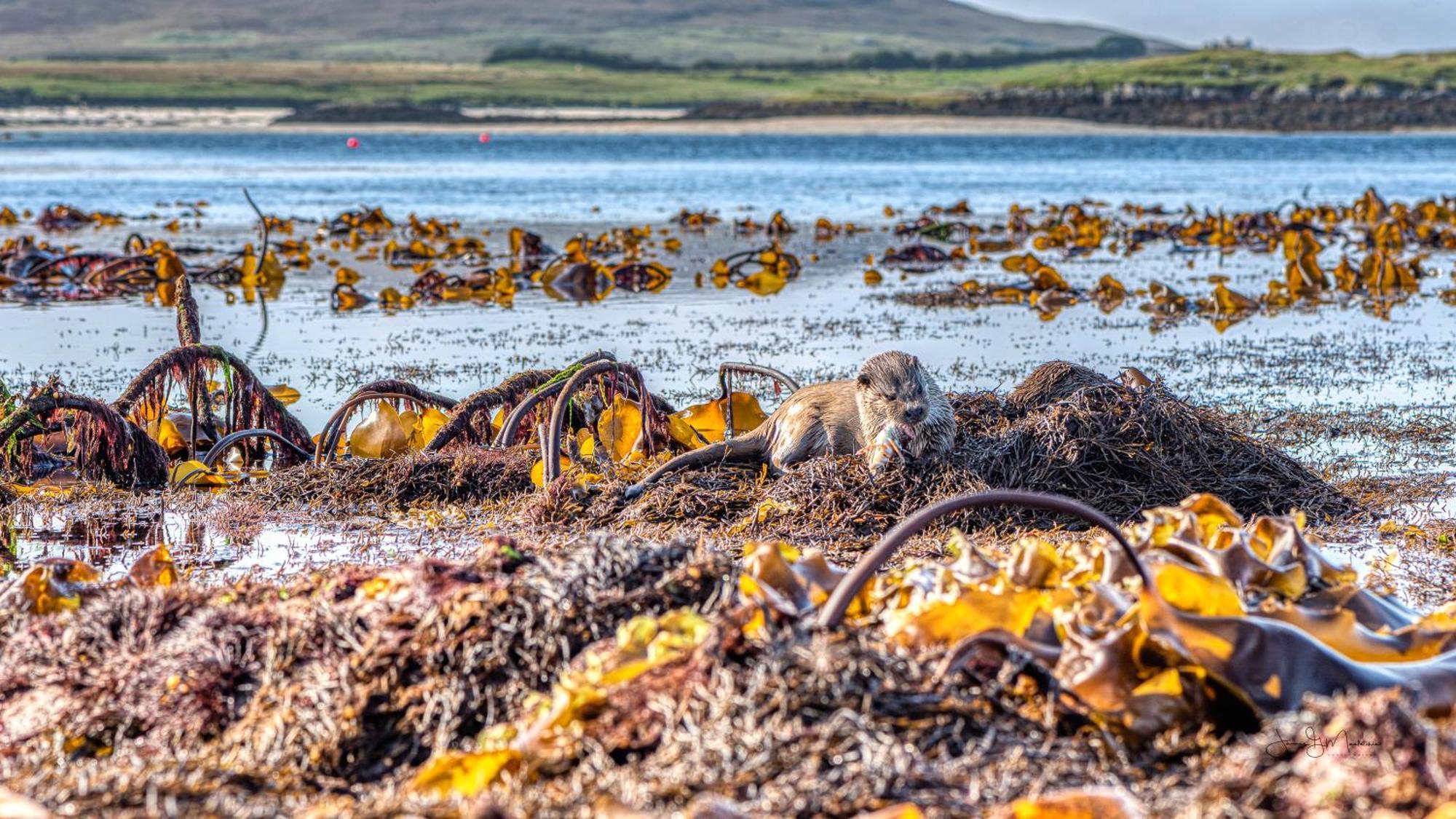 North Uist Lodges Tigharry Buitenkant foto